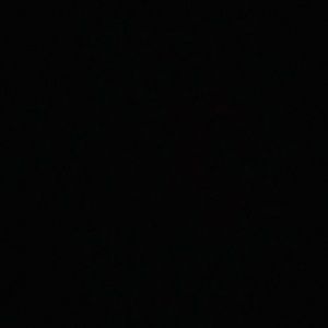 Meet your Posher, Bob